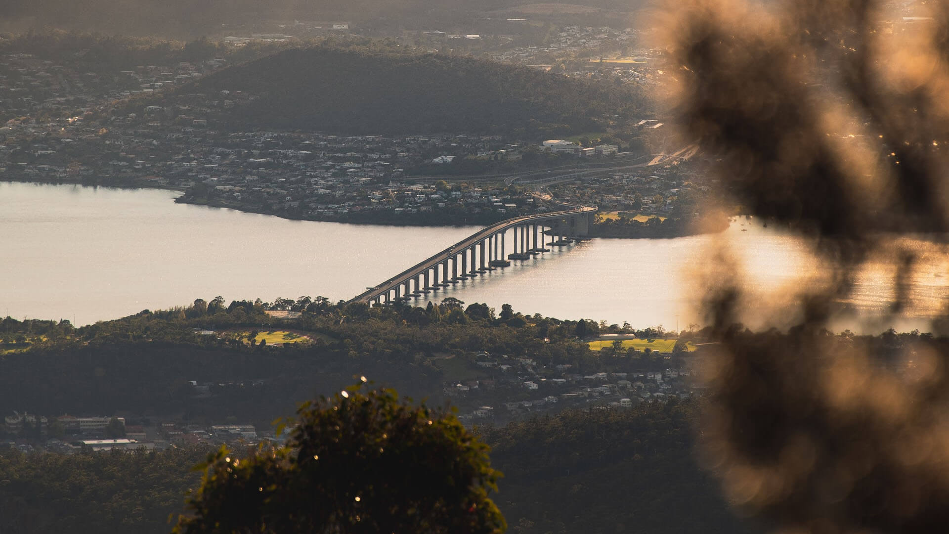 BusTech Group and Elphinstone deliver 100th bus for Tasmania